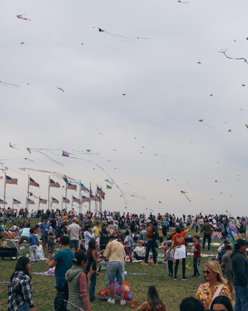 Spectators and kites flying high at Washington DC festival