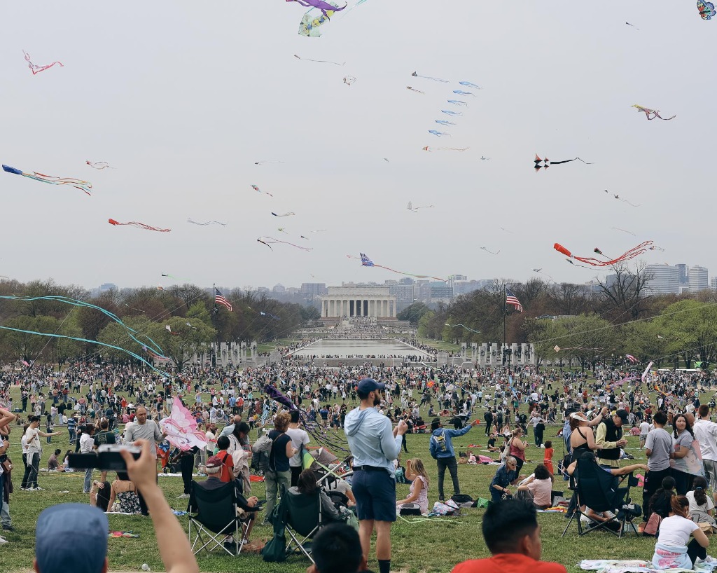 Blossom Kite Festival on the National Mall in Washington DC